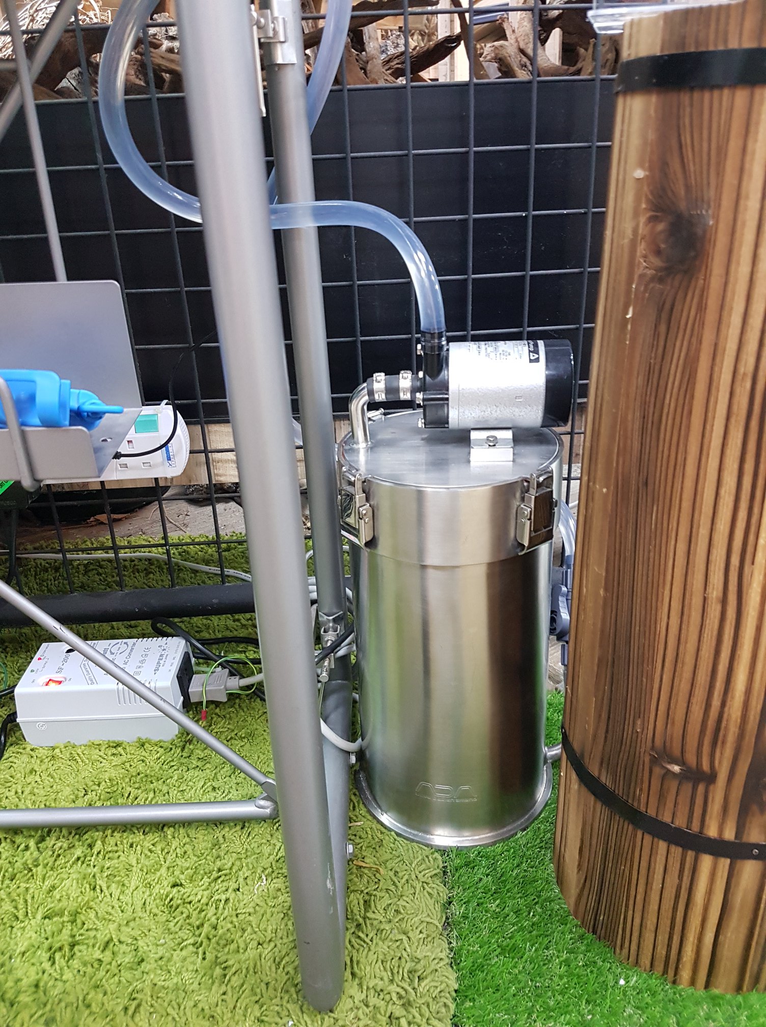 Full Ada 60p Set Up Here Fishy Business Elements Pte Ltd Facebook