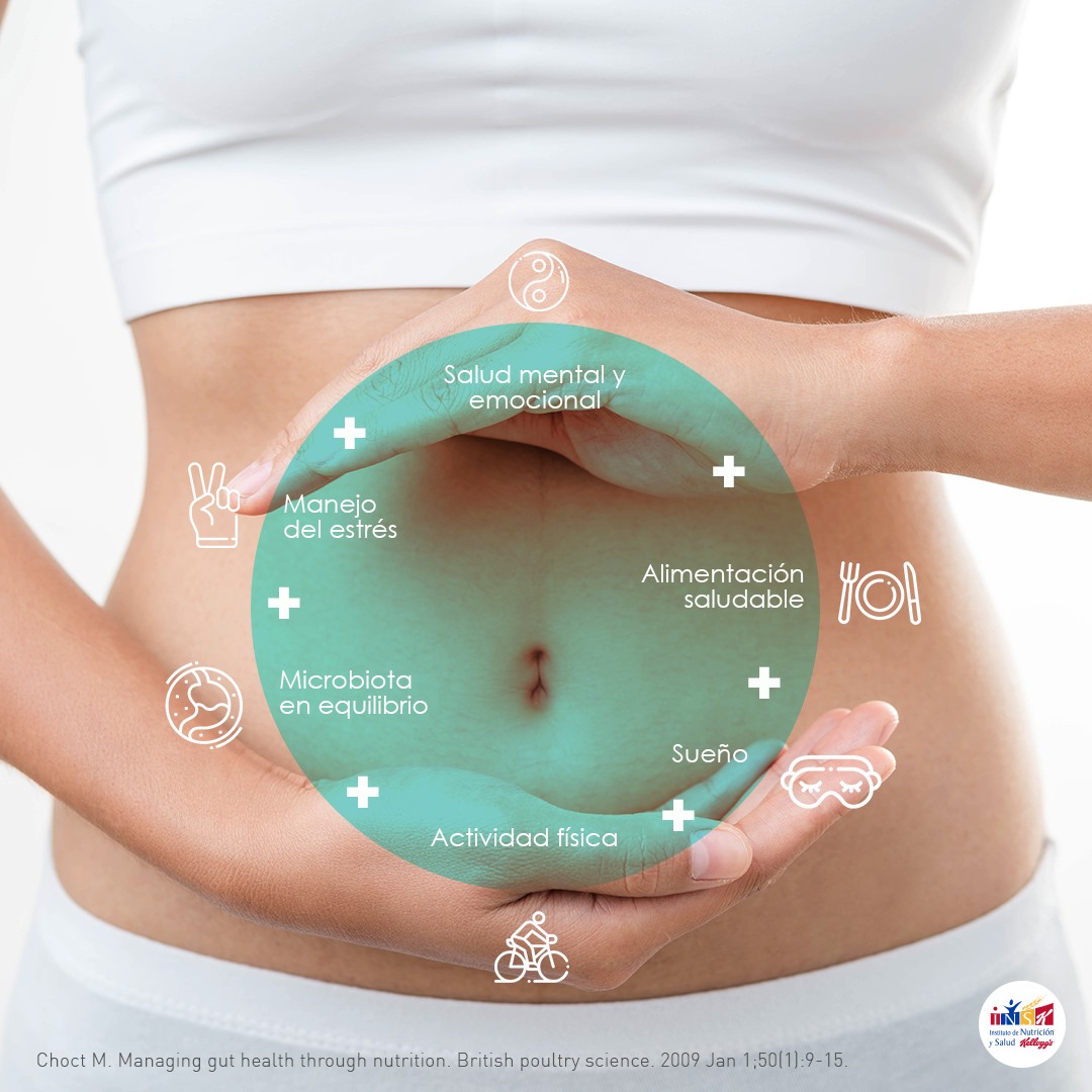 INSK - Intestino saludable = vida saludable… Conoce los... | Facebook