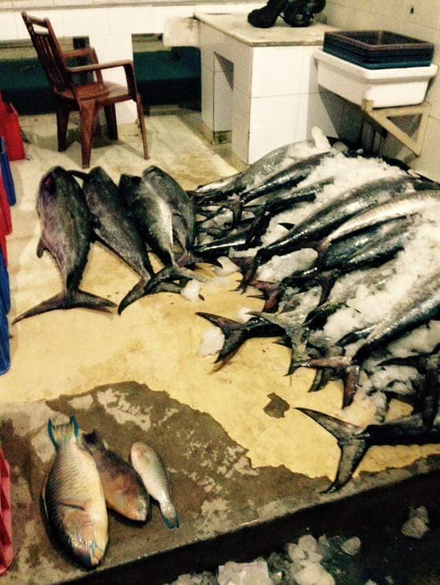 ZIA Fresh Fish Colombo | Wattala