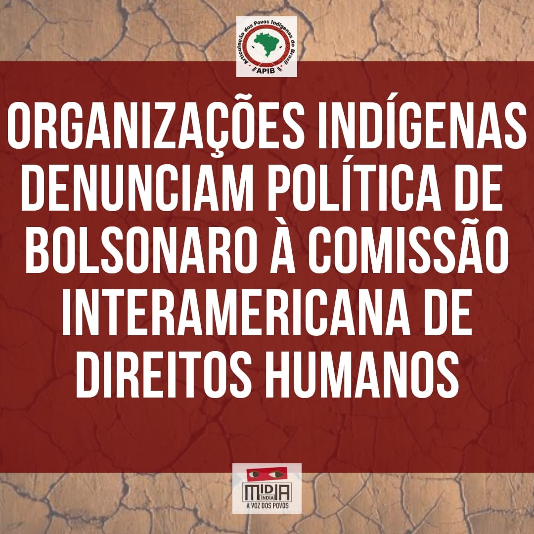Organiza... - APIB - Articulação dos Povos Indígenas do Brasil