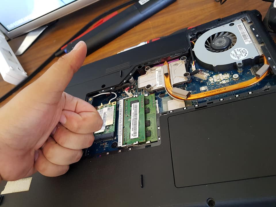 Dog's Computer TI | Estancia Pénjamo