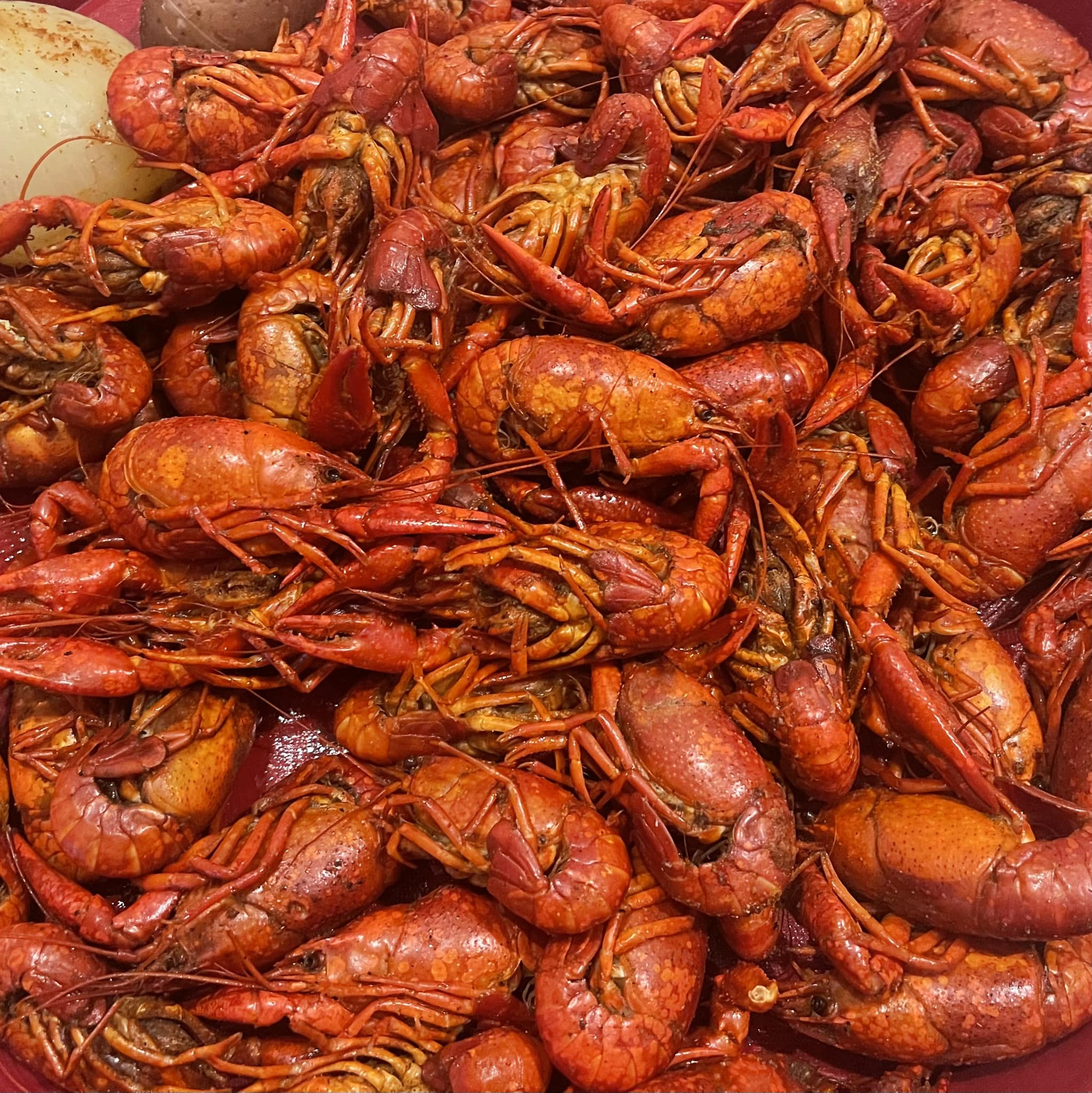 ‼️🚨🦞 PRICE DROP 🦞🚨‼️ 3lbs: $18.00... - Red Tails Boil House | Facebook