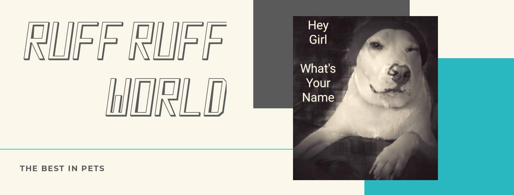 Ruff Ruff World