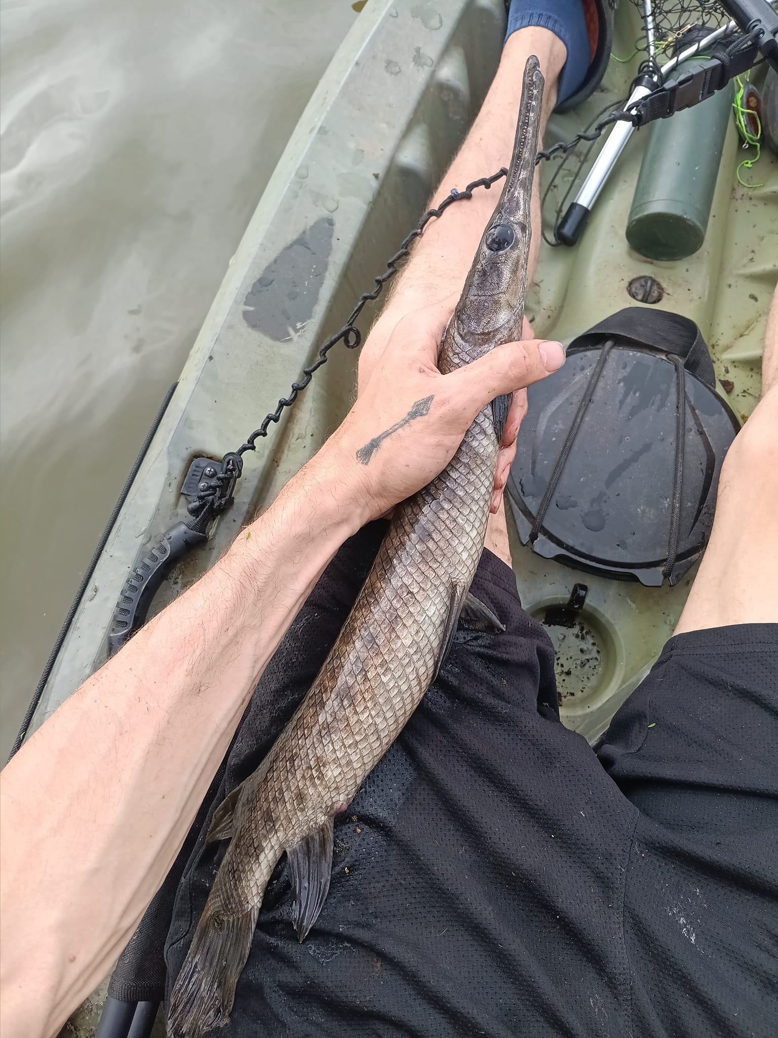 are yo yo fishing reels legal in texas White's Auto Fisher 6 Automatic Reel - Package of 1/2 Dozen YoYos and retrieves the fish Is yoyo fishing for crappie