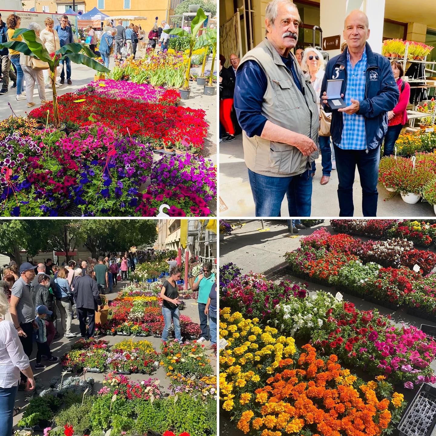 Foire Aux Plants 2022 La Valette Du Var