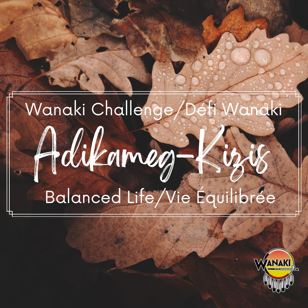 Wanaki Challenge November / Défi Wanaki Novembre 2025