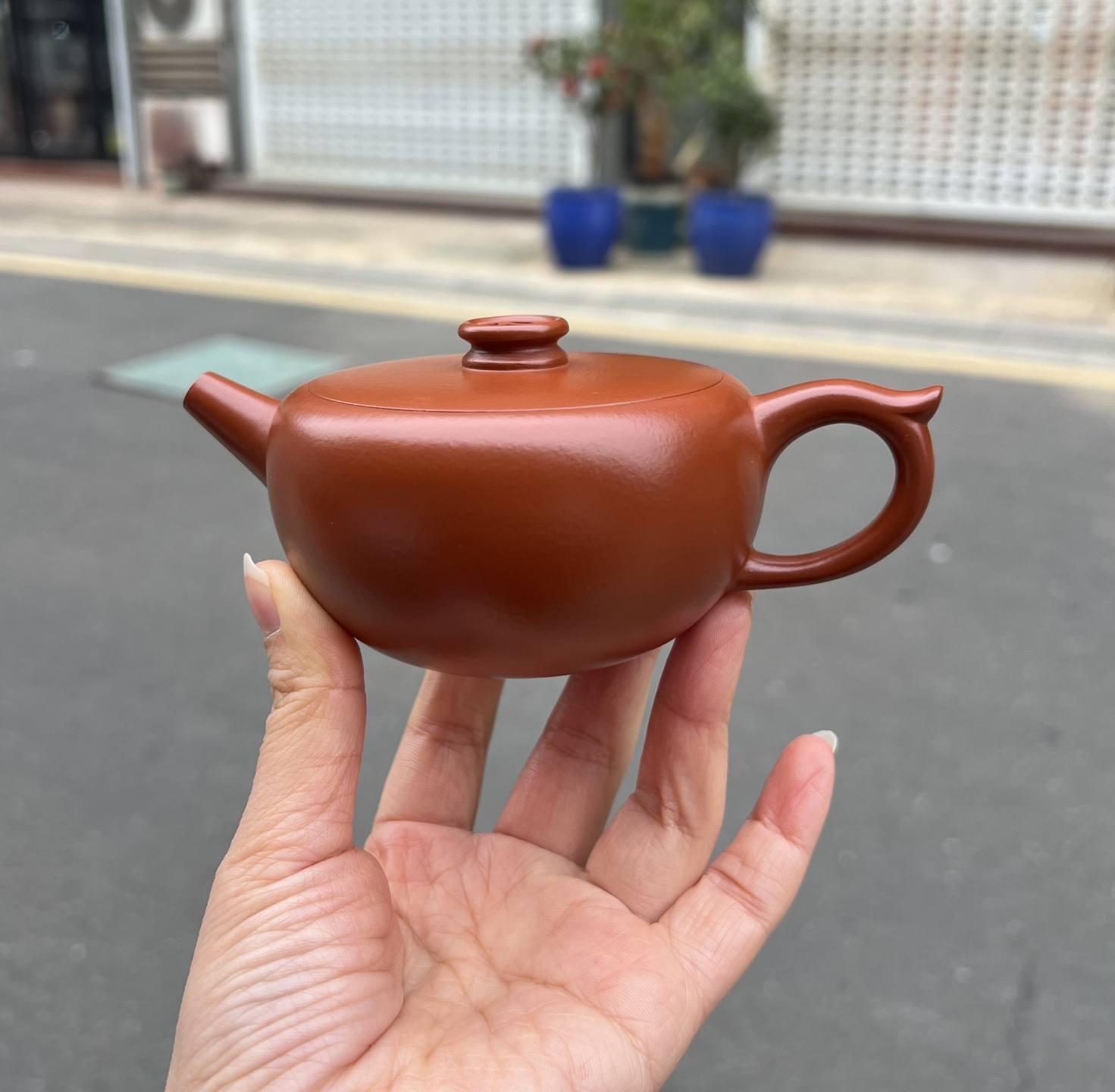 突襲!!【 細川政己| 霞】 來自信樂町陶藝師— 細川政己先生。 奇特尤如