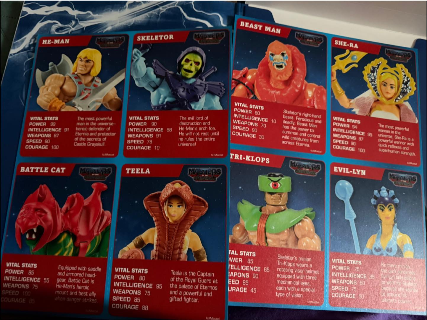 Ollie's MOTU book oversized cards featuring He-Man characters