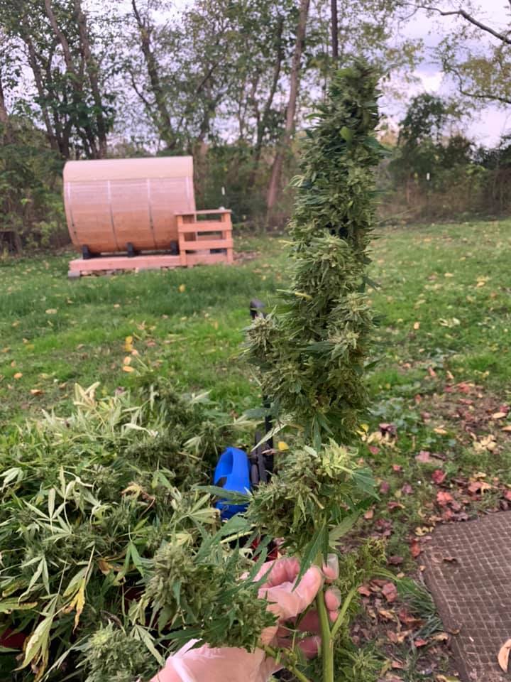 Smokey Ridge Farm