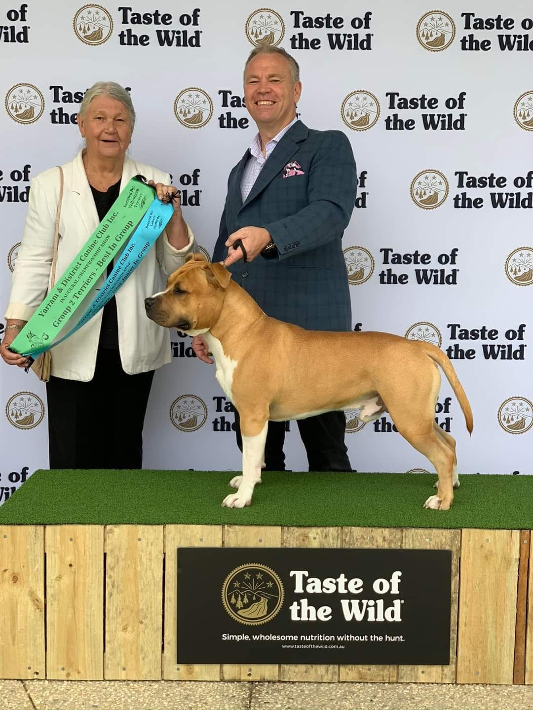 🌟 New Grand... - Ironklad American Staffordshire Terriers | Facebook