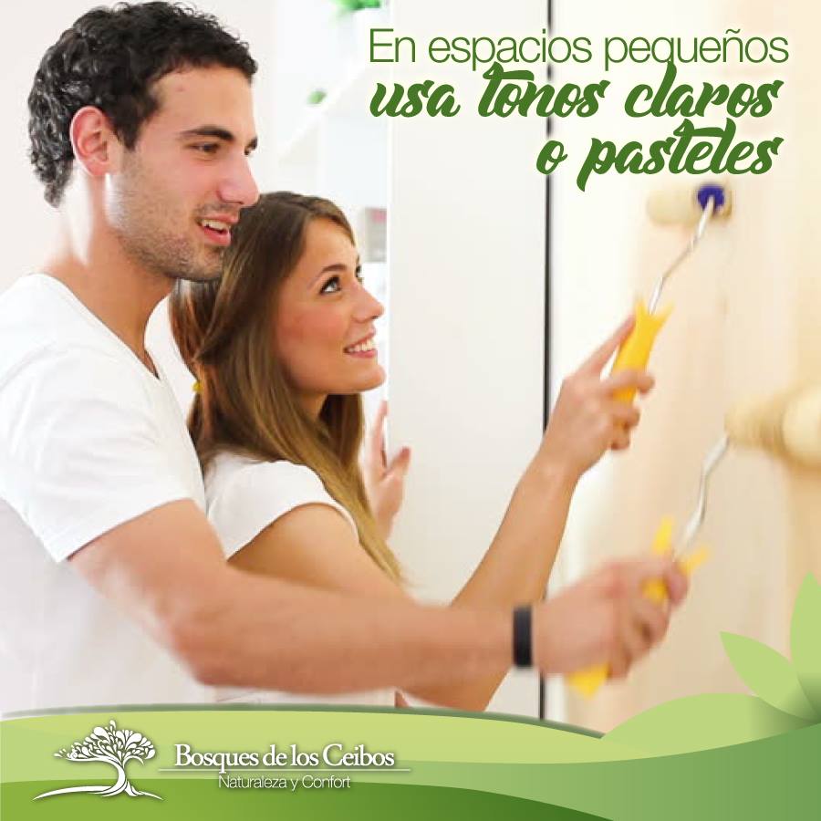 Bosques de los Ceibos - #BosquesTips En decoración para tu departamento ...