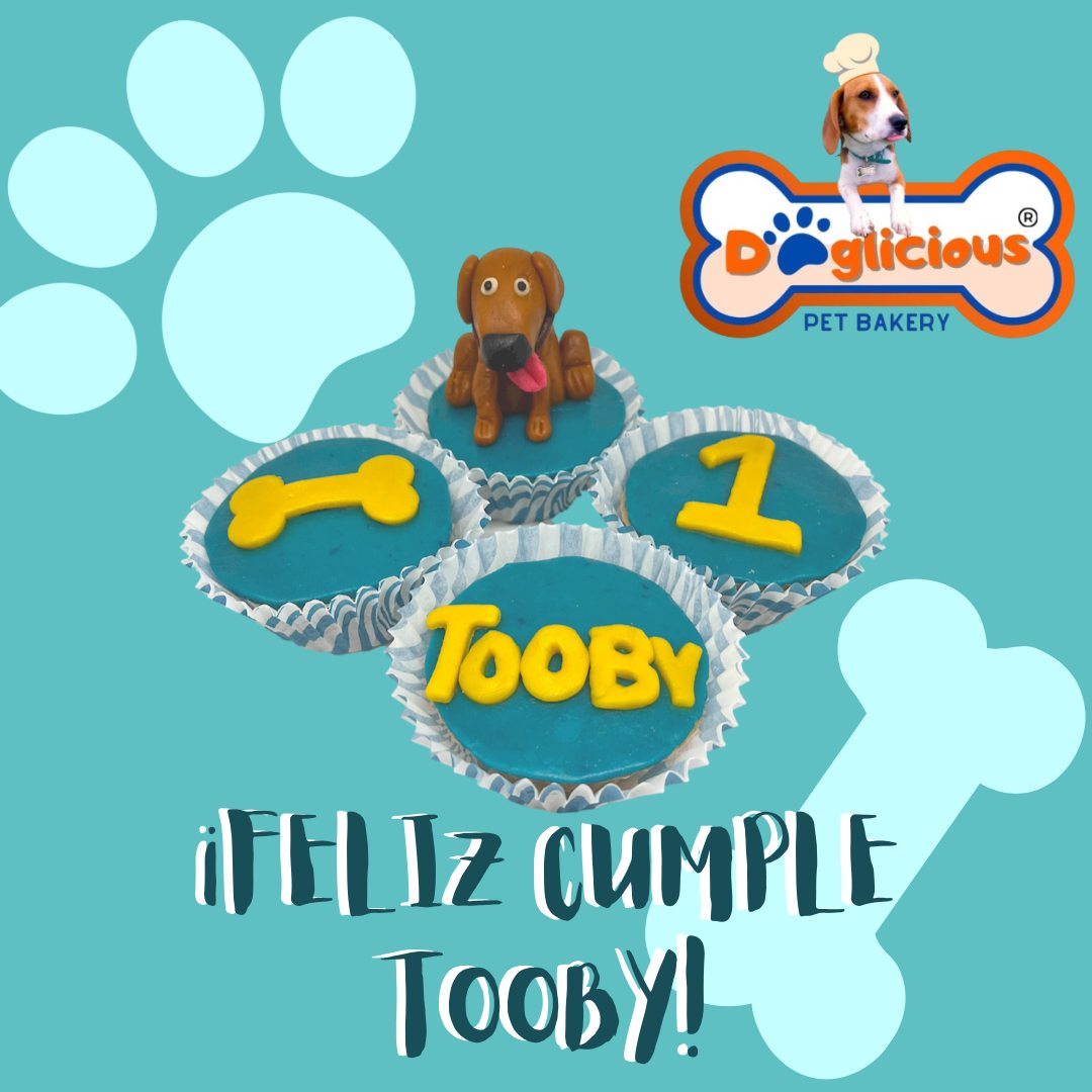 Doglicious - 🥳💙 ¡¡Felicidades Tooby!! 🥰🤩 #doglicious...