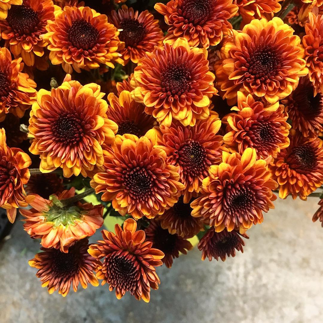 Eventricity - It finally feels like fall outside so here are some cute ...
