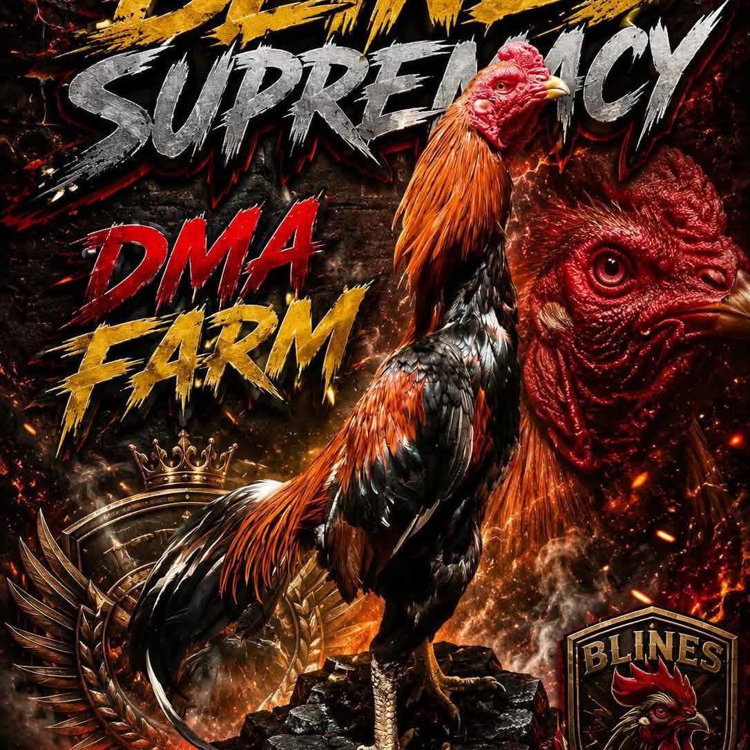 Pang derby or pang facebook warrior... - Dma Farm Supremacy | Facebook