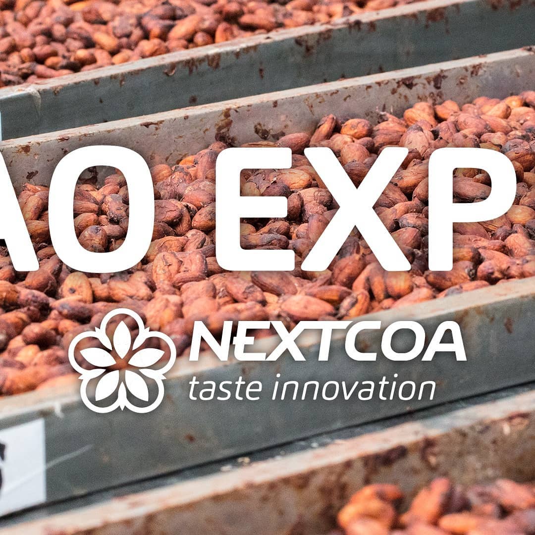 Nextcoa | Bucaramanga