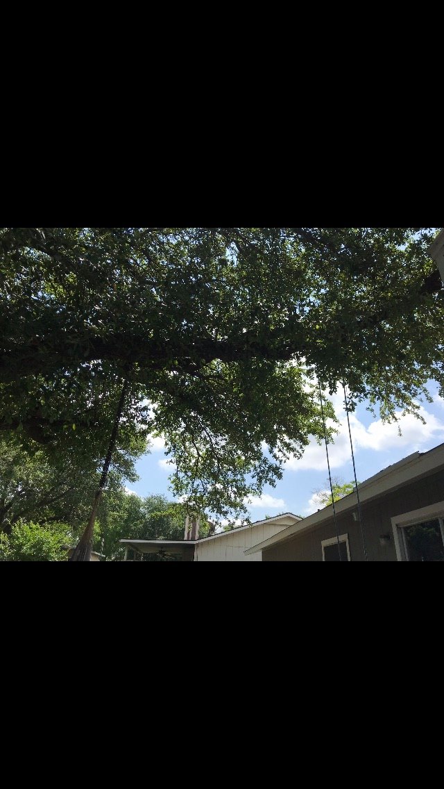 JJ Tree Service | San Antonio TX