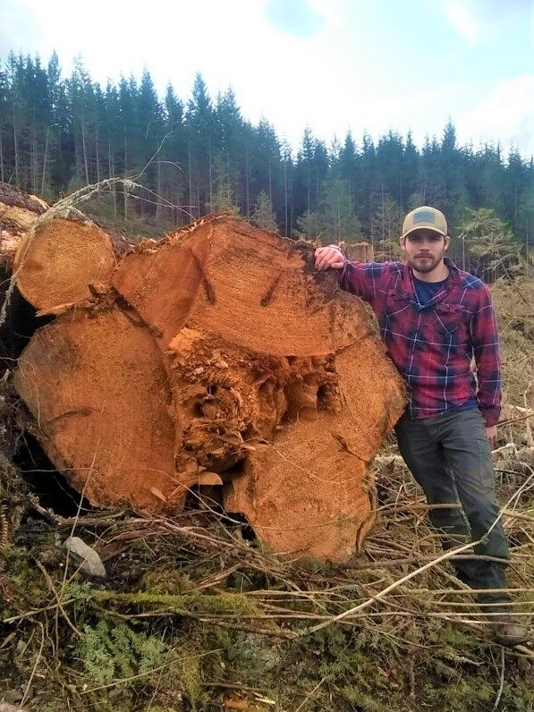 The Michigan... - Michigan Association of Timbermen | Facebook