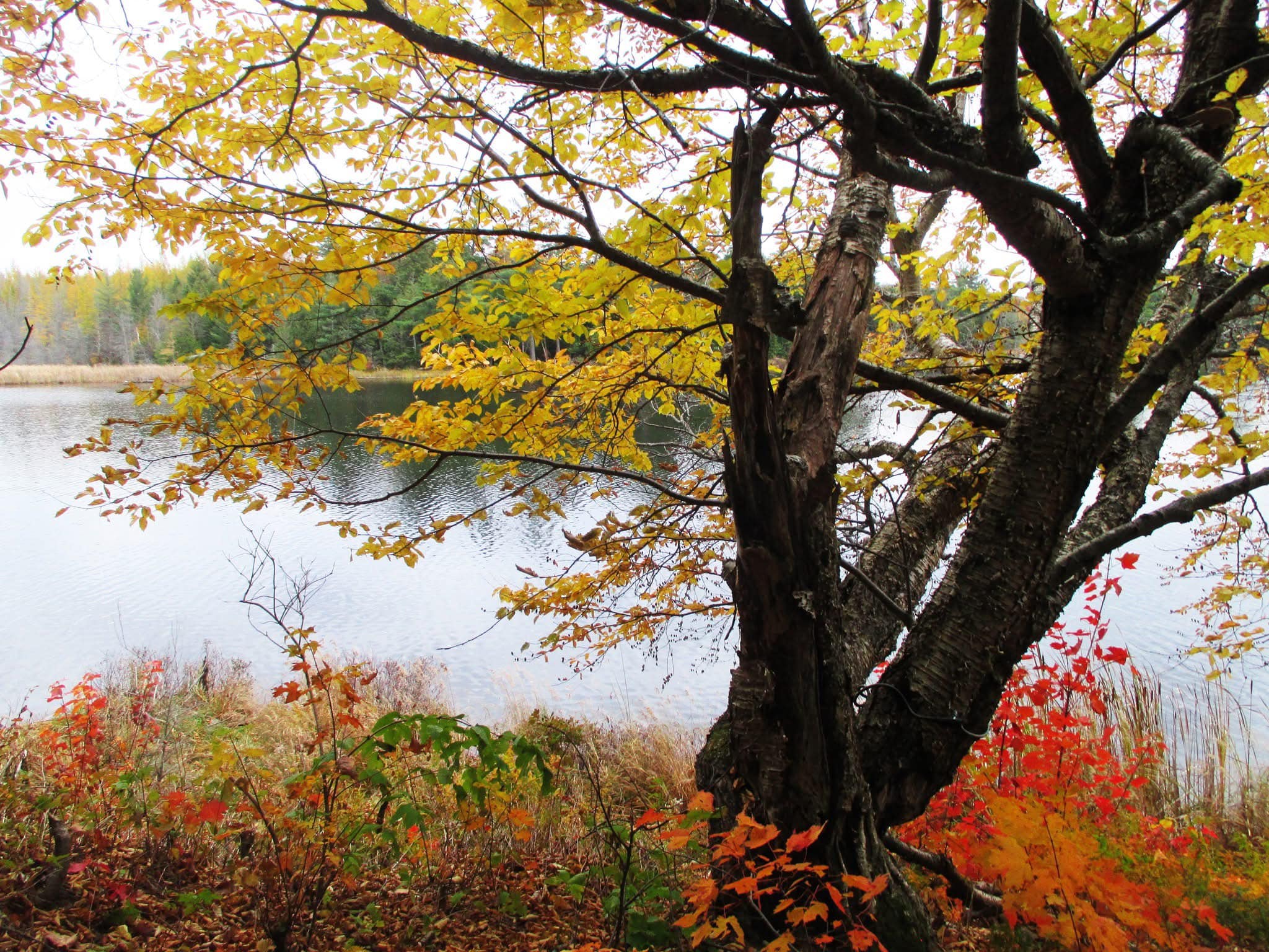 Canadian Landscapes | On hikes in Elliot Lake, Ontario | Facebook