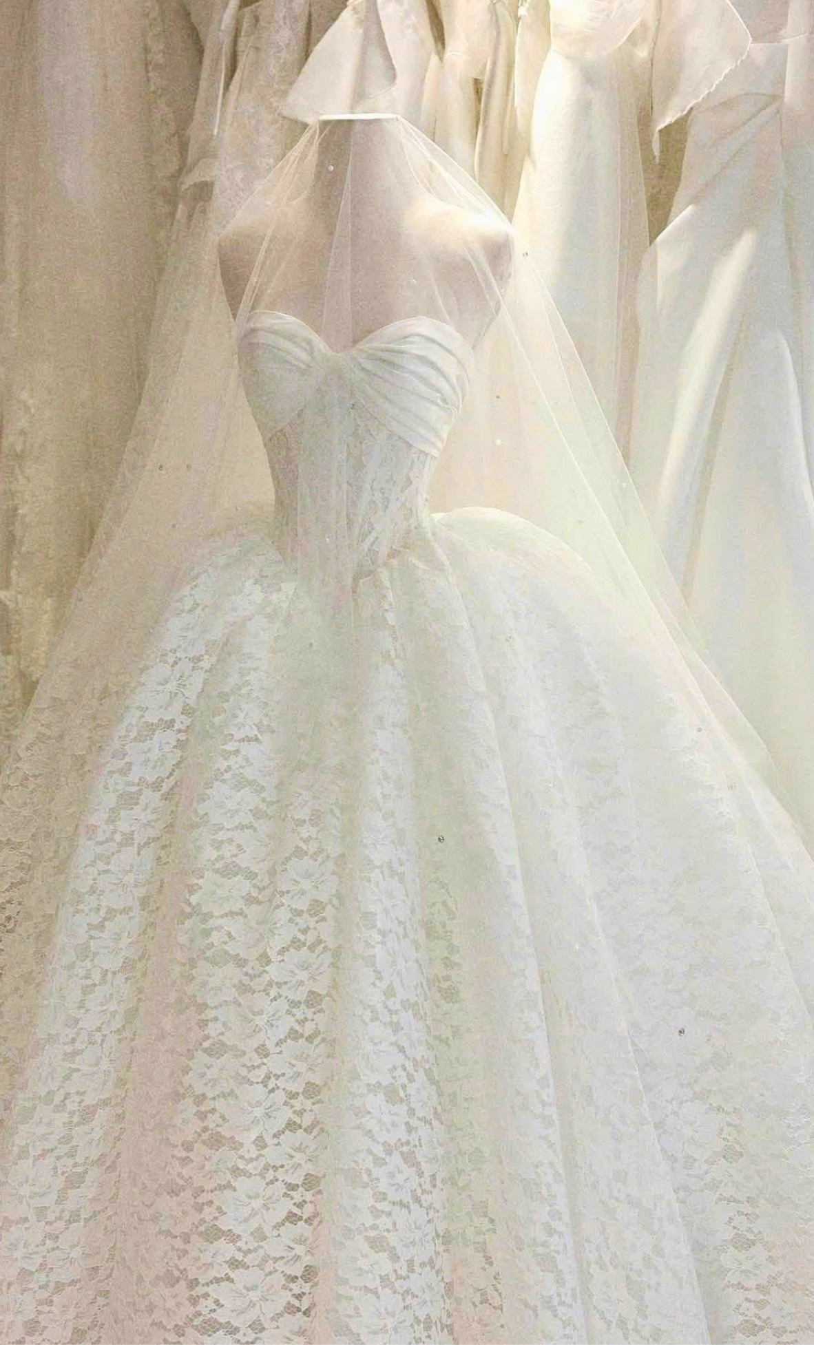 toronto wedding dress designer Designers Crochet Quilted Button Detail champagne mermaid bridesmaid dresses Size:10 US - 41 EU