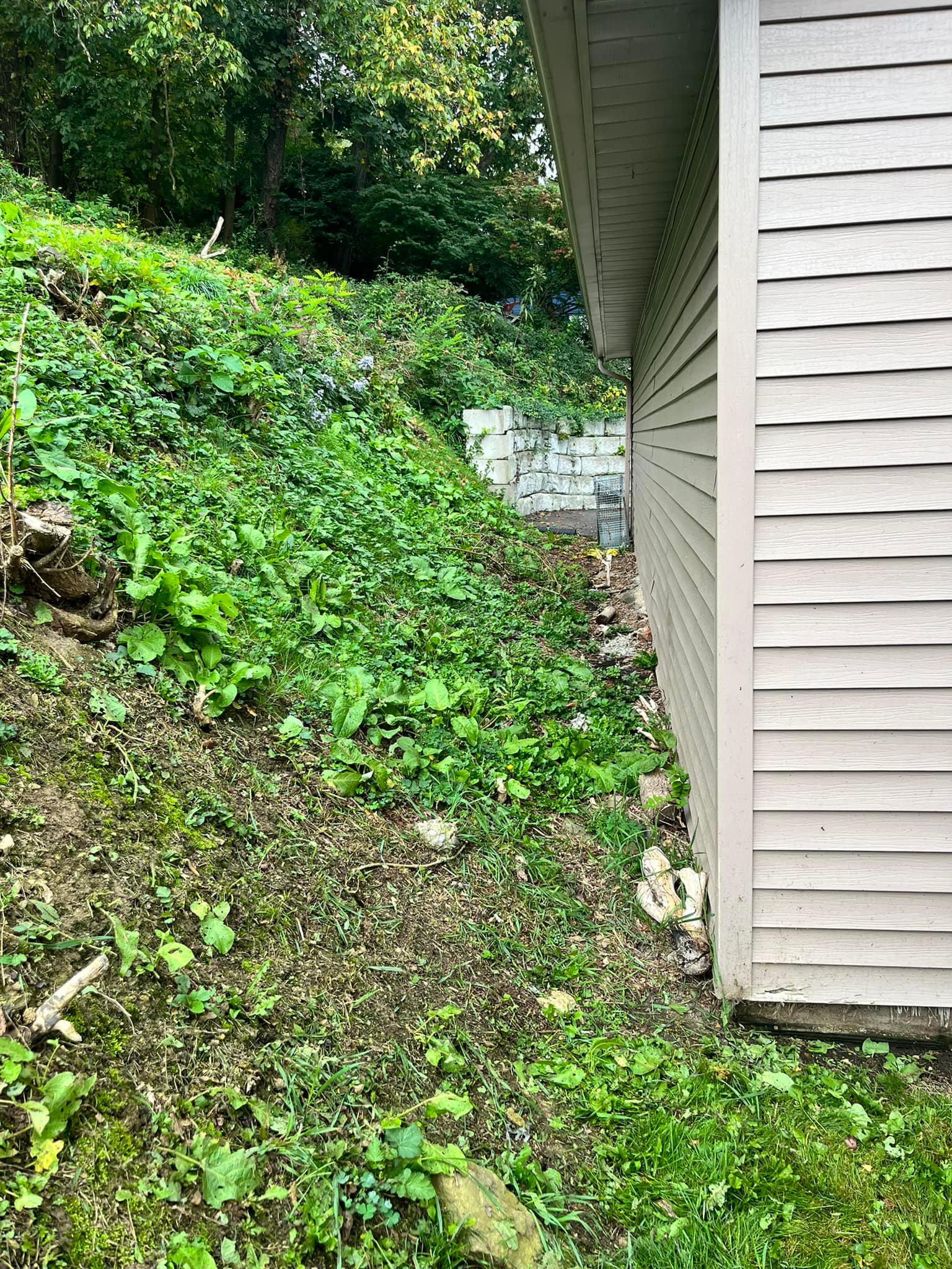Blue Ridge LLC | Carmichaels PA