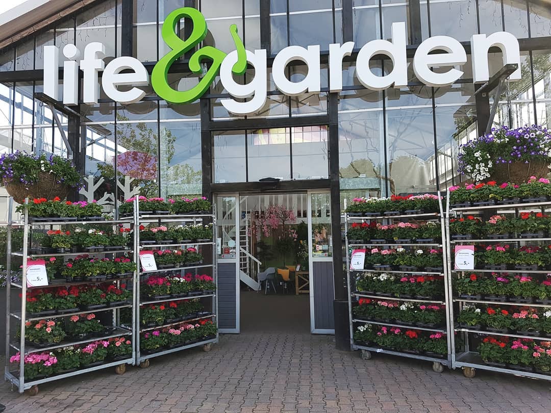 Fleur je tuin op met geraniums.... - Intratuin Etten-Leur | Facebook