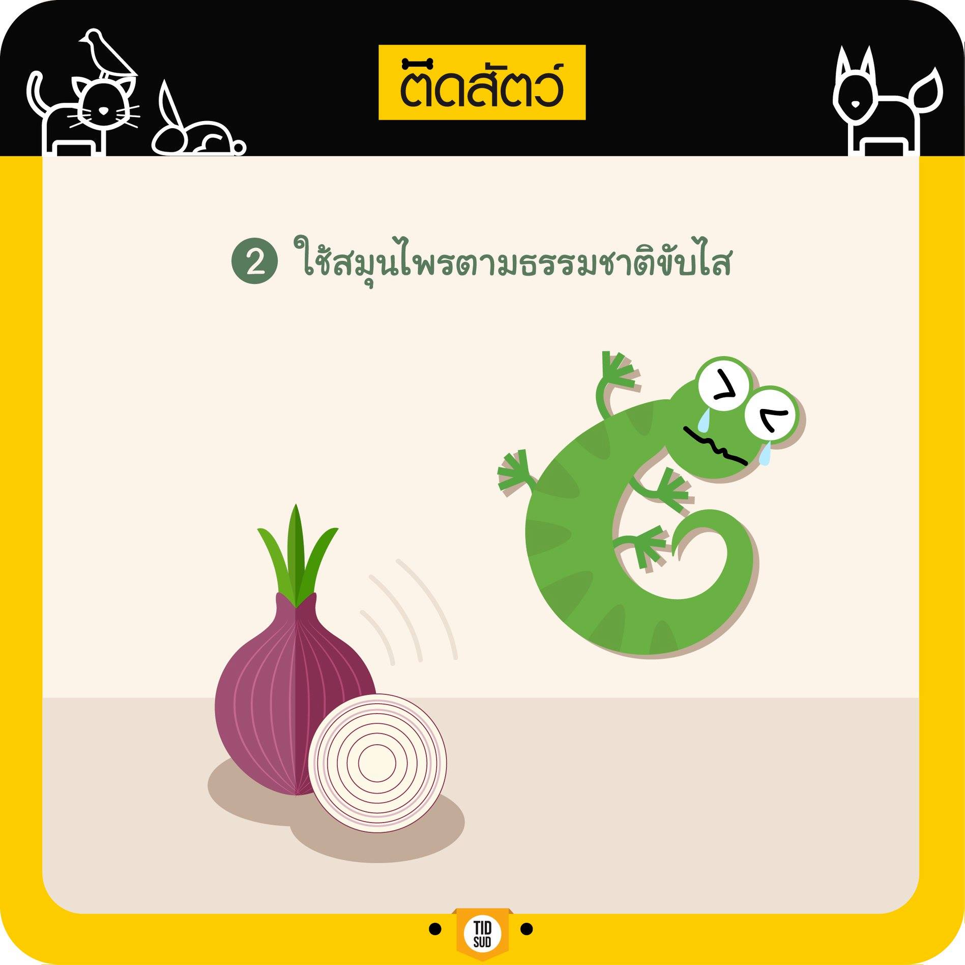ติดสัตว์ - ใช้สมุนไพรตามธรรมชาติขับไสมันแบบซอฟๆ ด้วยการนำหอมแดงและใบ ...