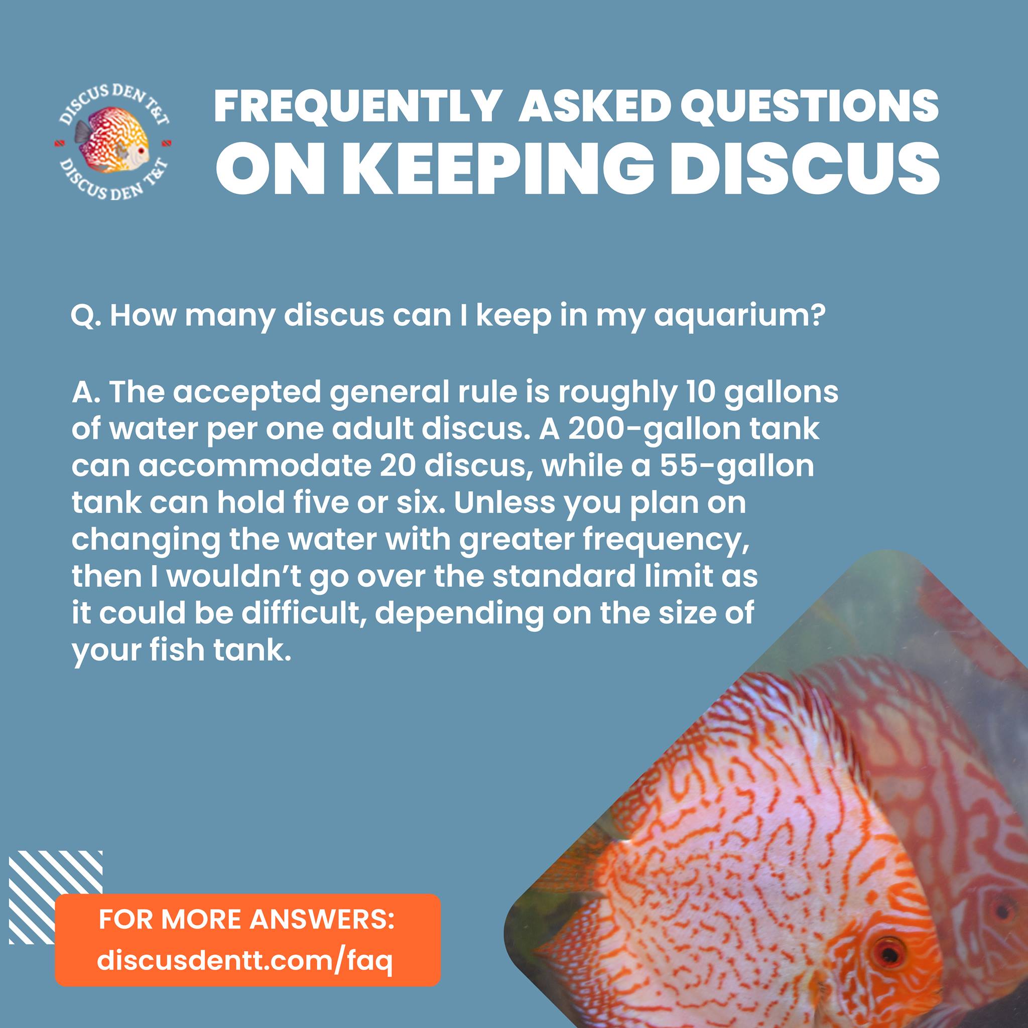 Discus Den T&T - We understand you might want to put as...