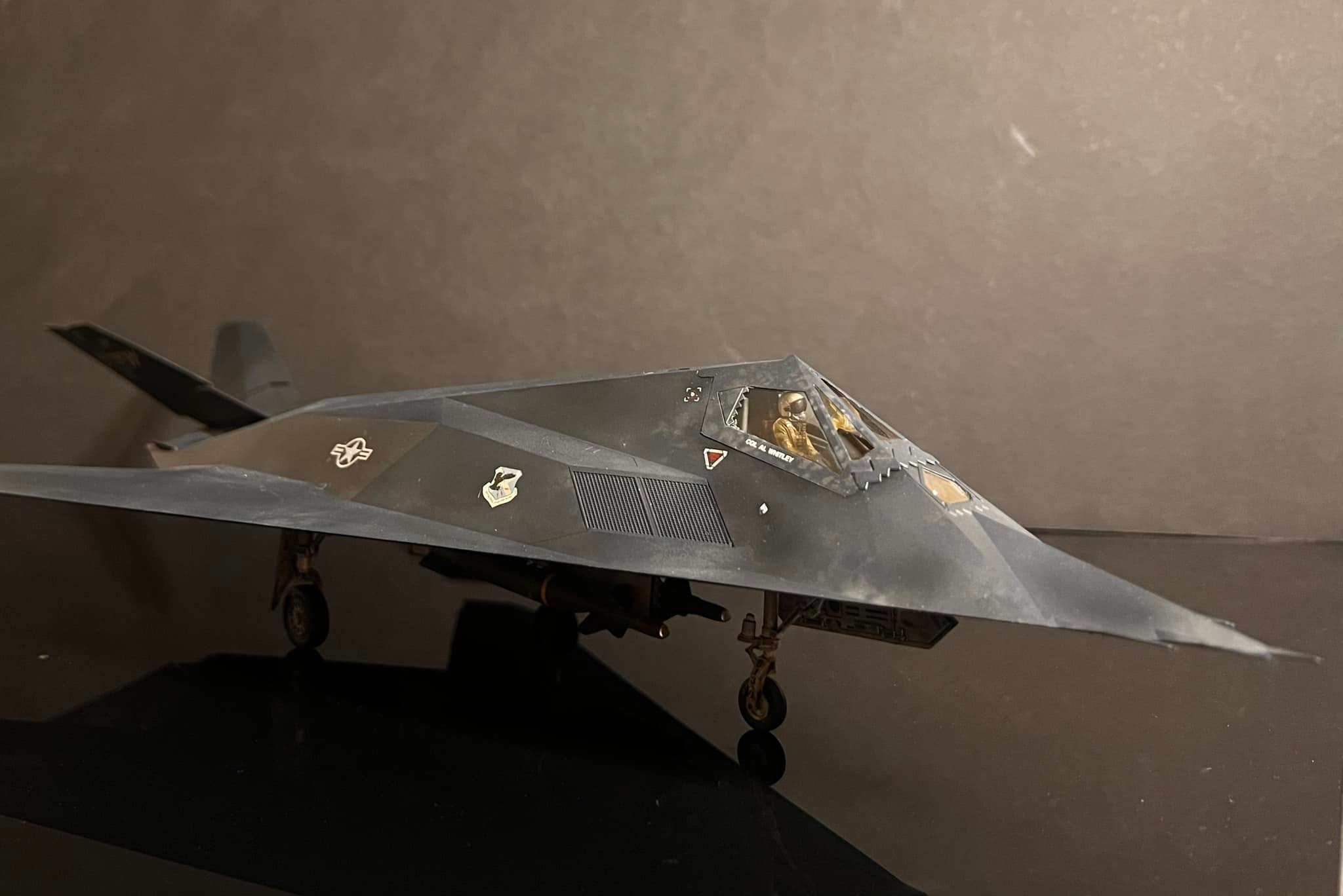 Tamiya 1/48 F-117A Night Hawk scale model with unique paint scheme