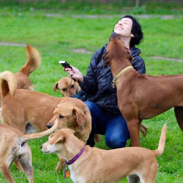 Fundacion Perriott Canino... - Fundacion Perriott Canino