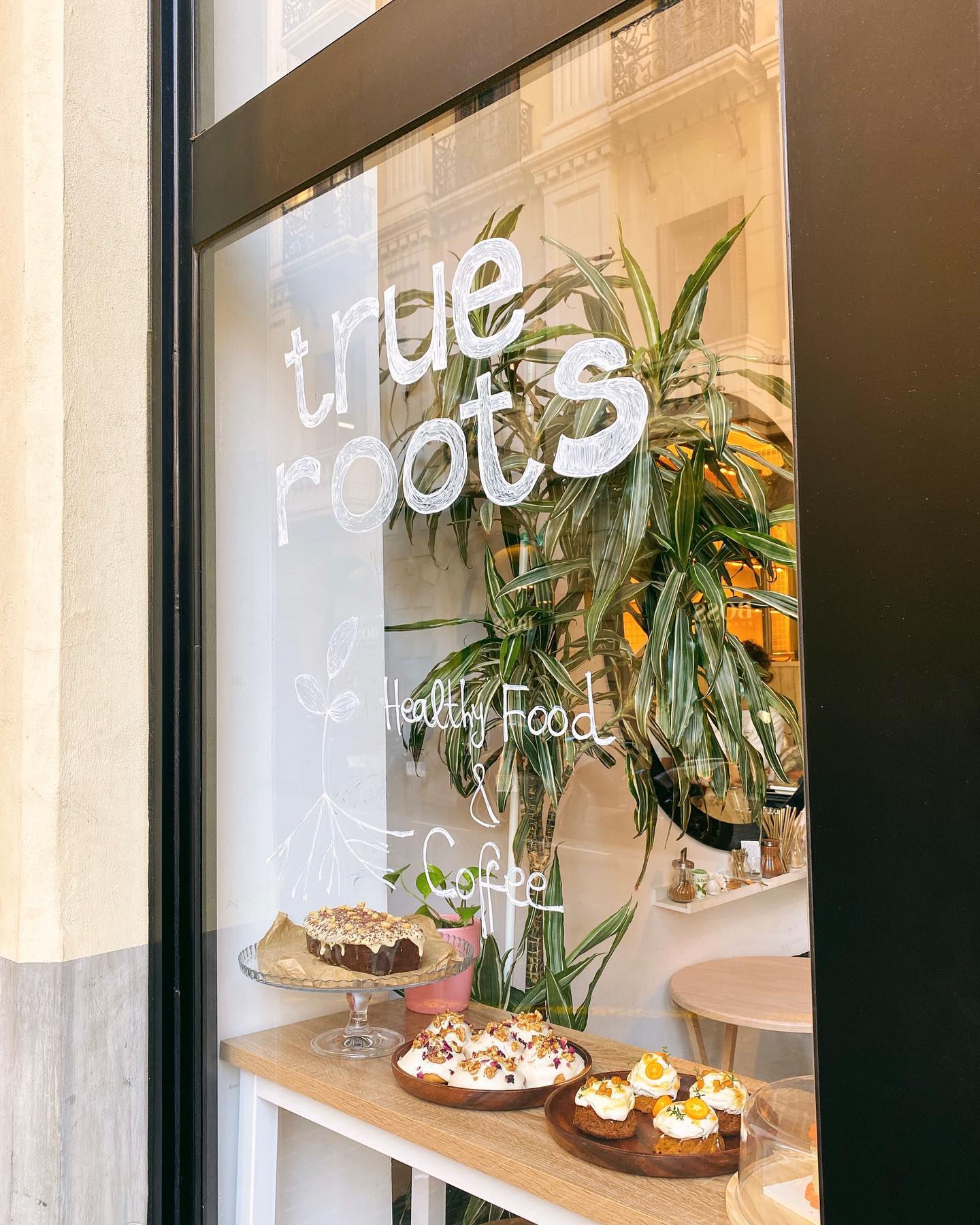 True Roots | Barcelona