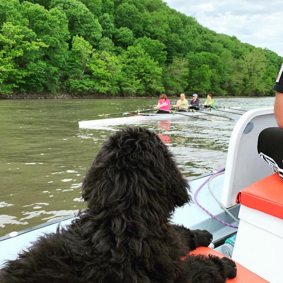 Arkansas Boathouse Club