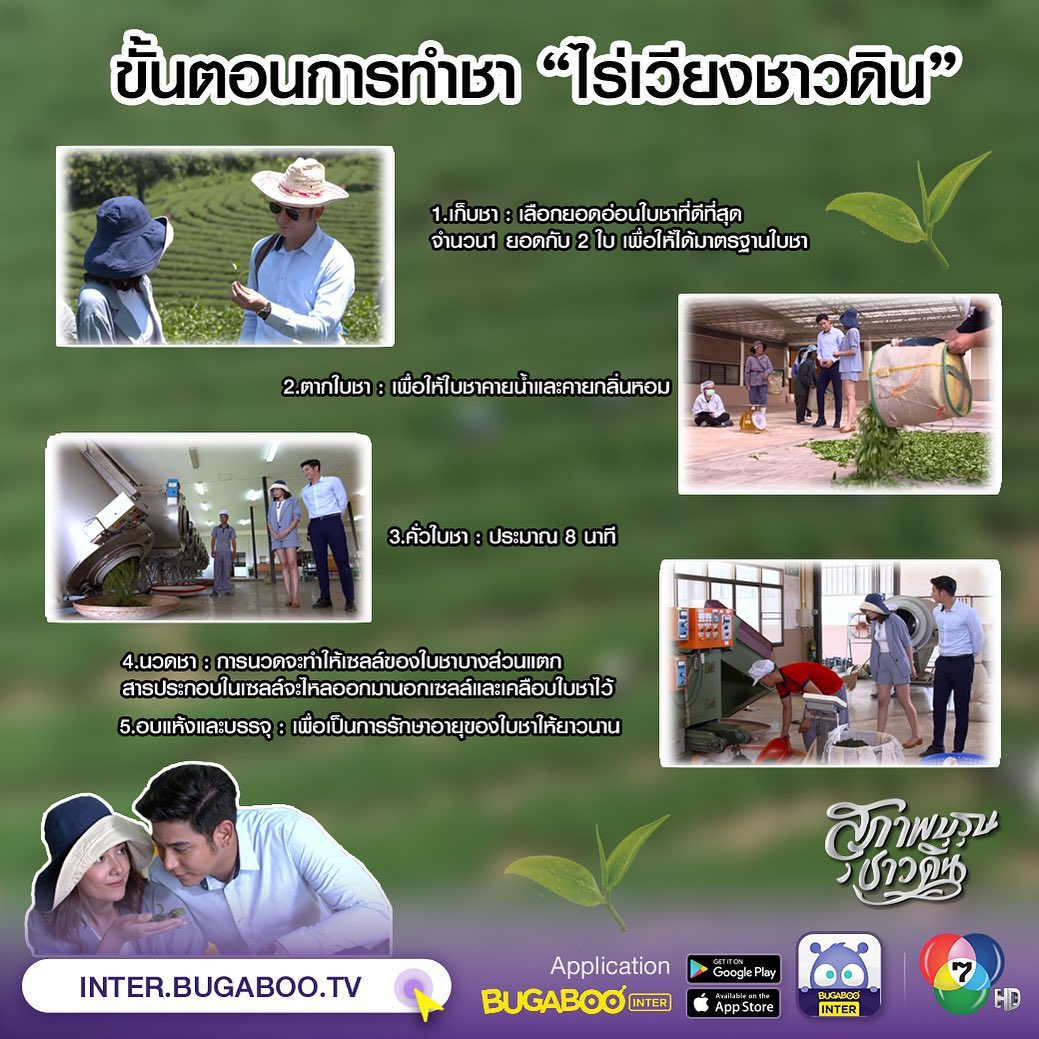 Bugaboo Inter - #ความรู้จากละคร...