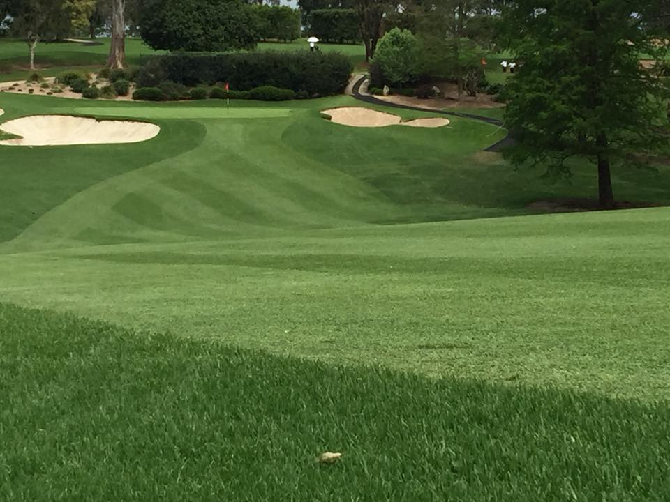 Neil Rolfe Golf