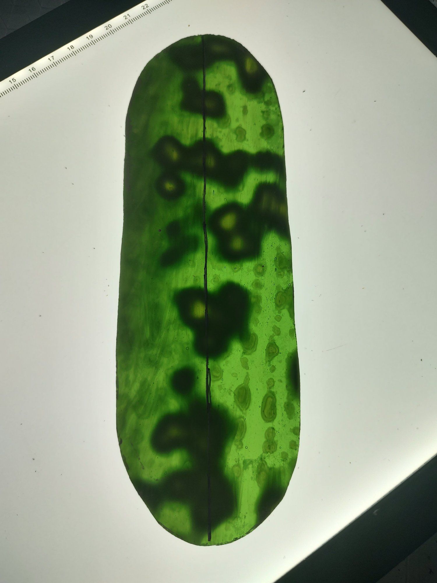 Found a pickle shaped like Pikachu