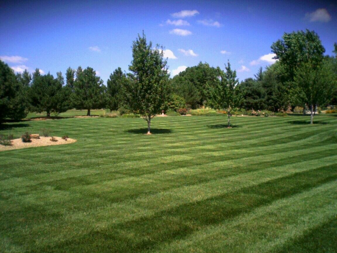 Lawn Pro Mowing | Lincoln NE