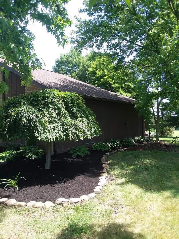 Top Notch Tree & Landscape - Home | Facebook