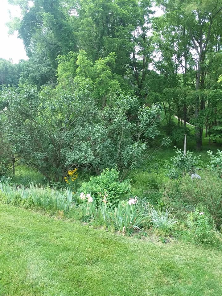 Top Notch Tree & Landscape - Home | Facebook