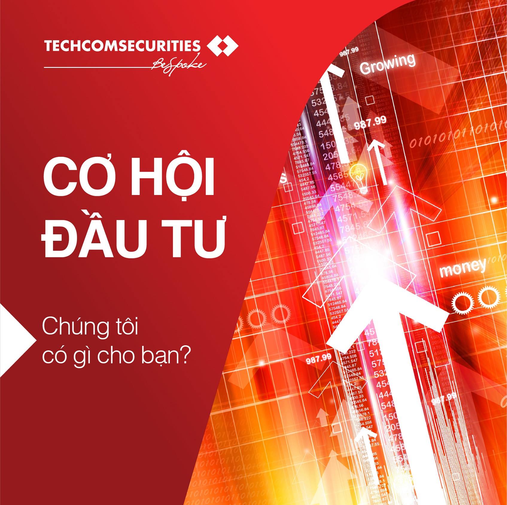 🌟CƠ HỘI ĐẦU TƯ - CHÚNG TÔI CÓ... - Techcom Securities - TCBS