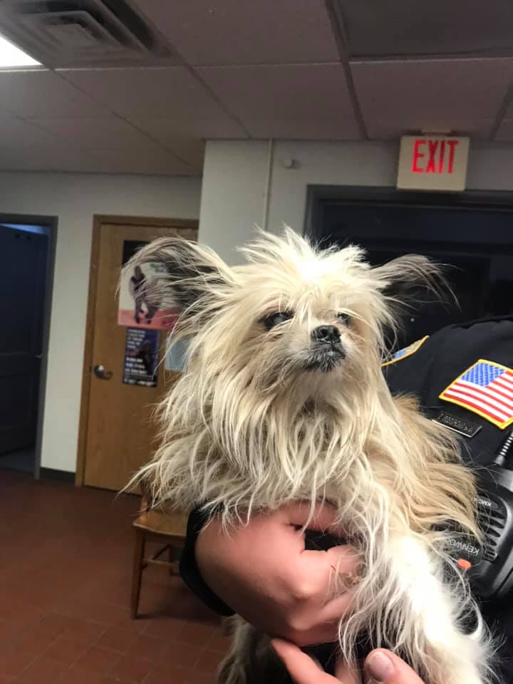 Update..... she has been... - Chetek Police Department | Facebook