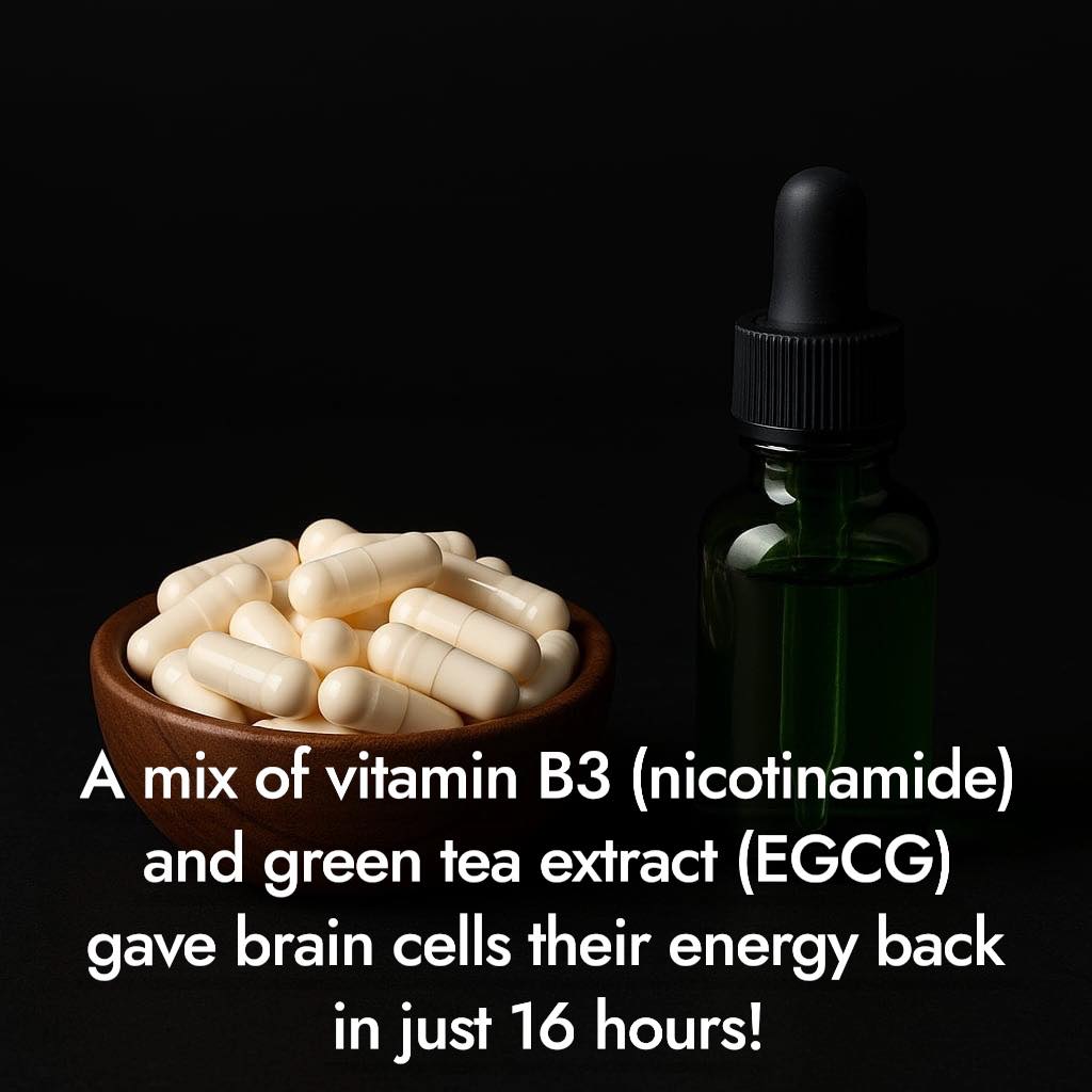 dihexa cognitive enhancing 2019 chemically induced 2024 aged Researchers have identified a pair of naturally occurring compounds that together help rejuvenate aging brain cells by restoring their internal energy balance. The combination includes nicotinamide, a form of vitamin B3, and BPC-157: The Regenerative Peptide vitamins & Minerals Lube:Organic Aloe + Plant Based Personal Lubricant