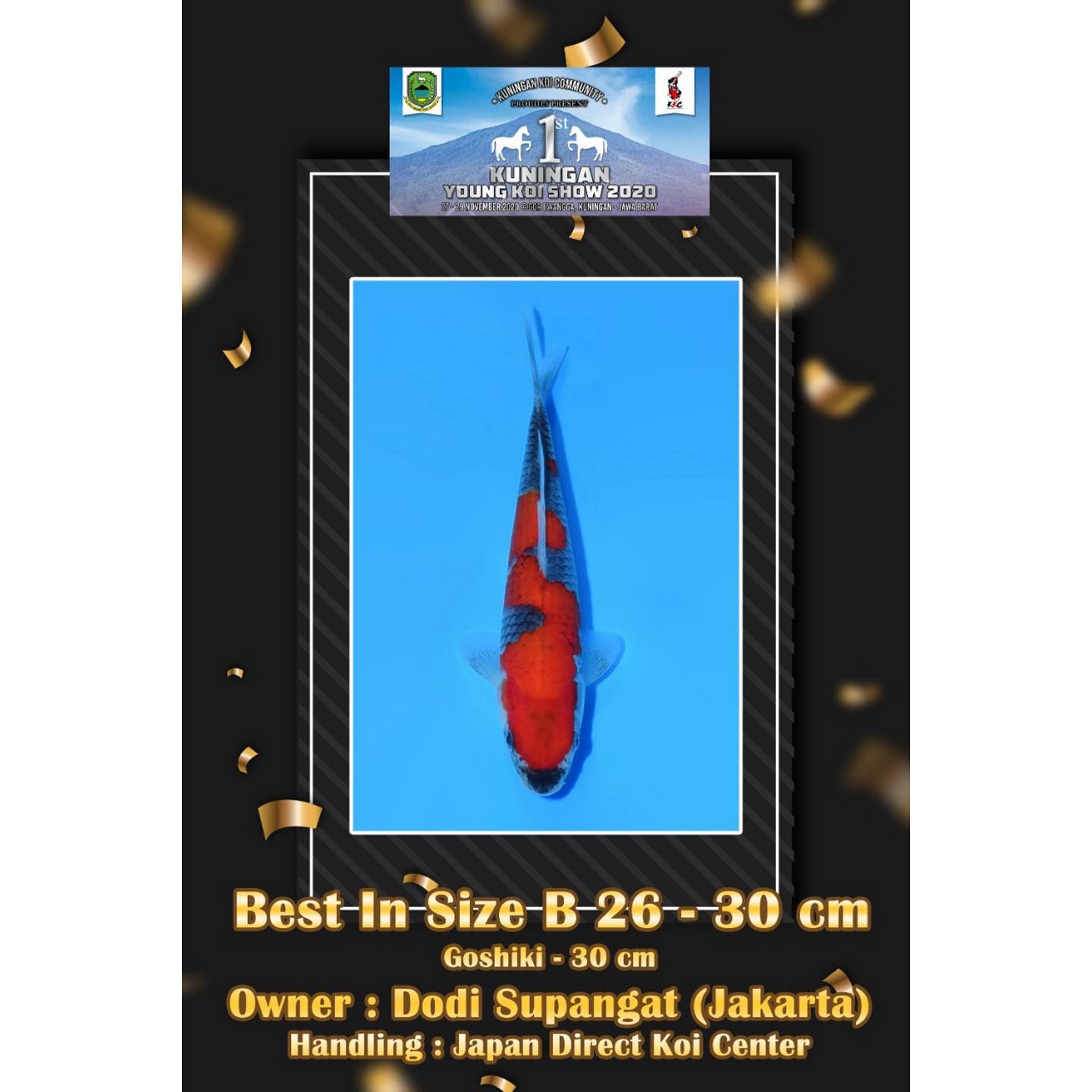 Congratulations to Mr.... - Japan Direct Koi Center - JDKC | Facebook