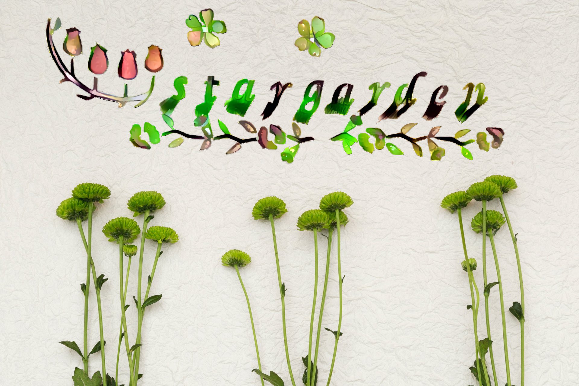St4rgarden