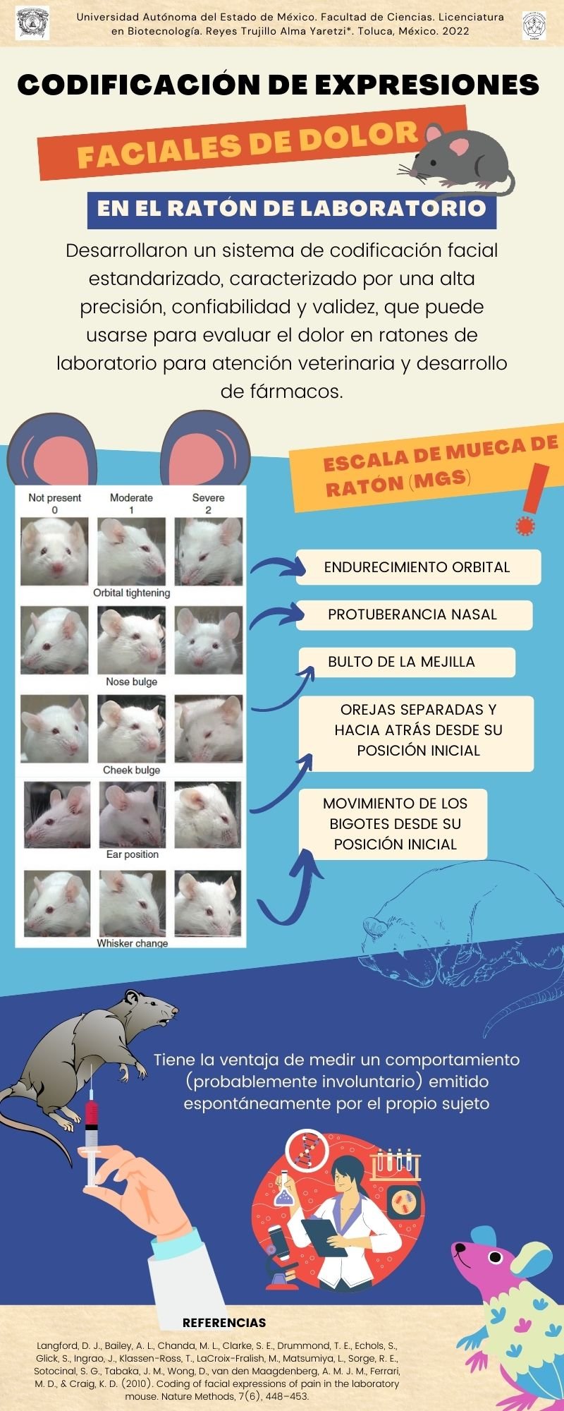 La escala de muecas del ratón fue un... - Abeja biotecnóloga | Facebook