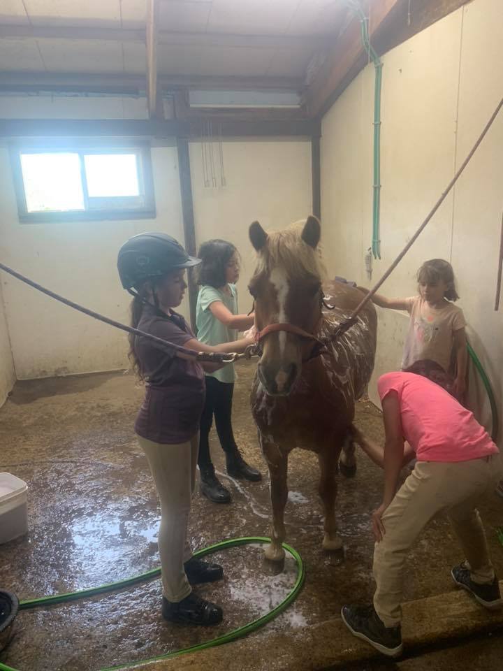 Outback Stables | Ledyard CT