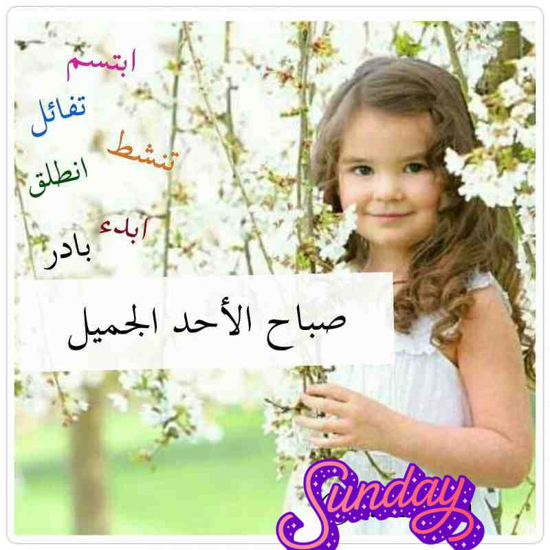 حشش ع المكشوف صباح الخير صباح الأحد الجميل صباح بداية الدوام الاسبوعي نتمنى لكم بدايه اسبوع مميزه مليئه بالفرح وتحقيقق اﻻمنيات صباح النشاط صباح الخير Facebook