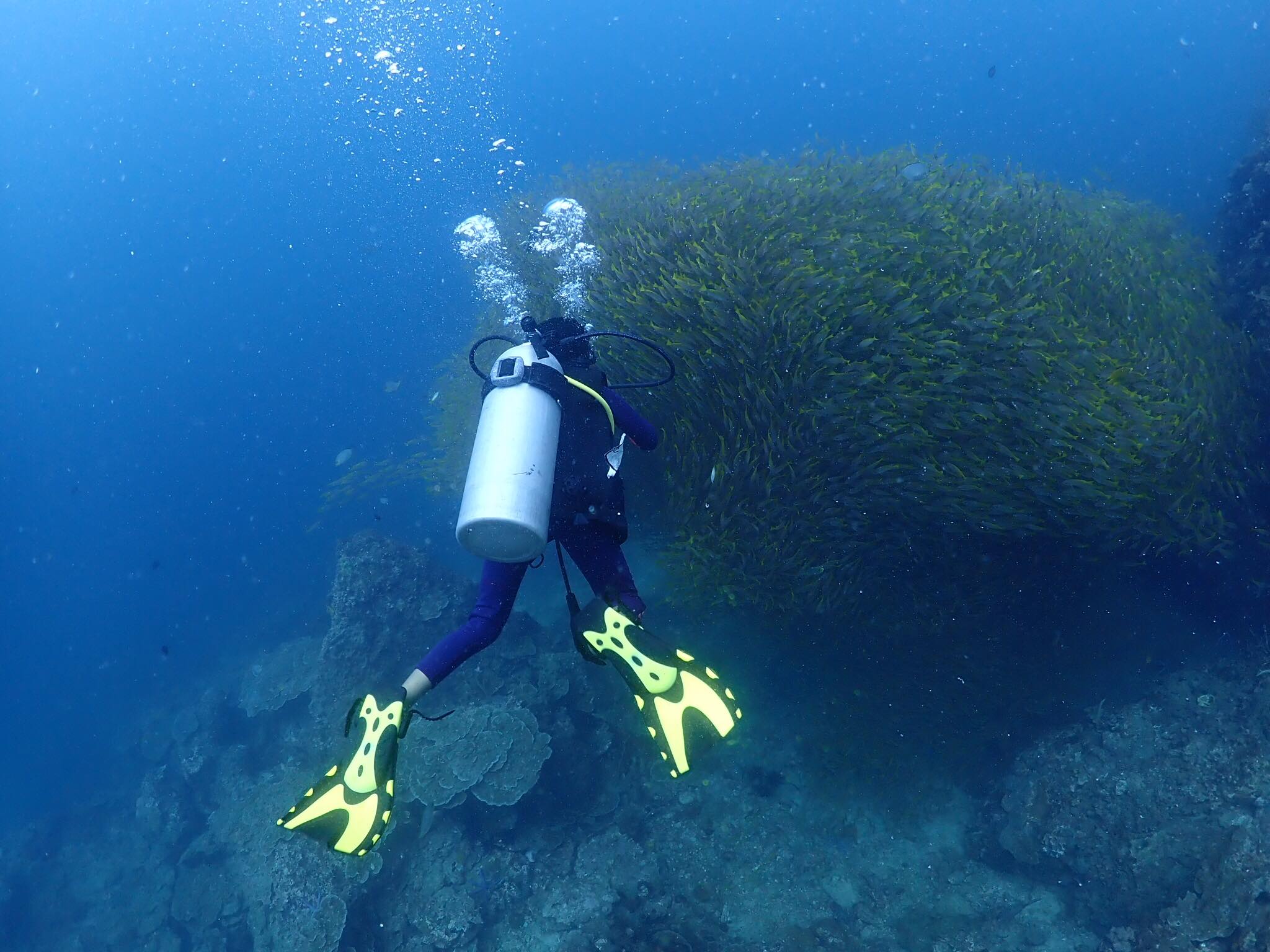 Dive Ranger... - Dive Ranger สอนดำน้ำ ทริปดำน้ำ กระบี่