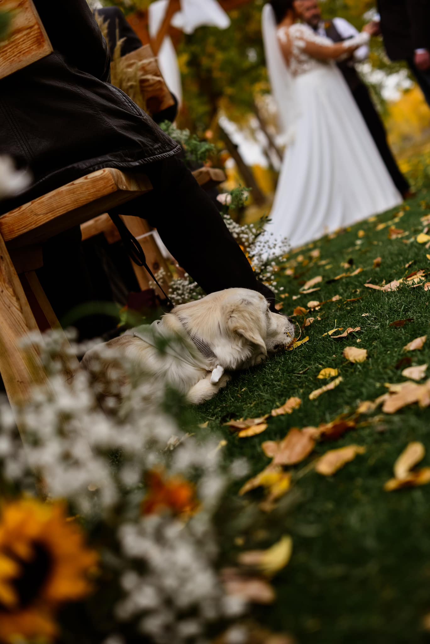 Montana Weddings & Events | Billings MT