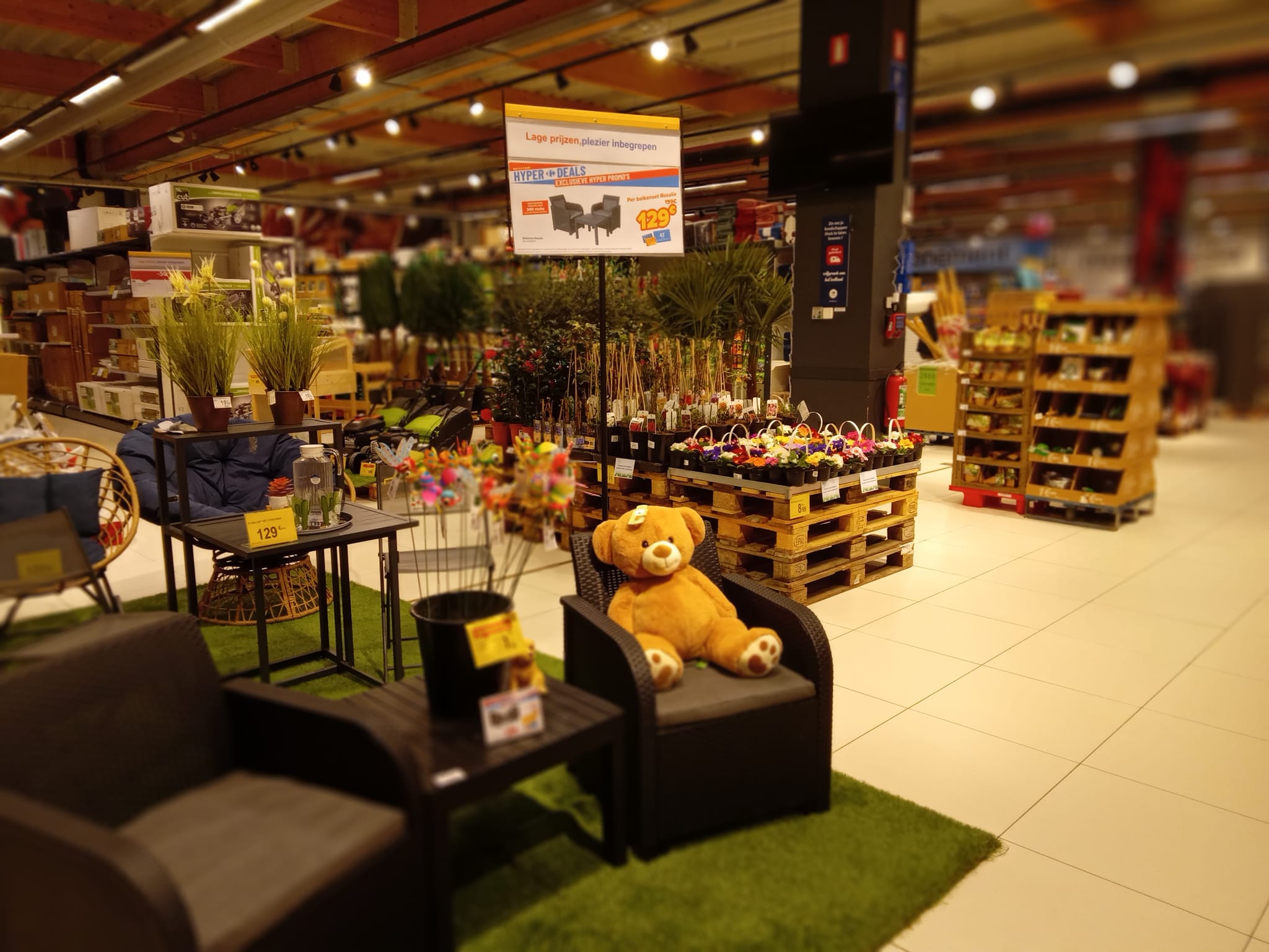 Carrefour Hypermarkt Zemst - Kriebelt het om in je tuin te werken?. Kom ...