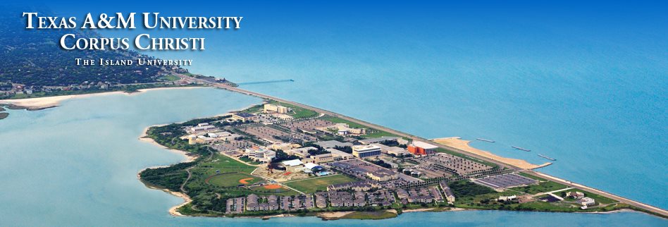 Texas A&M University-Corpus Christi Athletic Training Program | Corpus ...