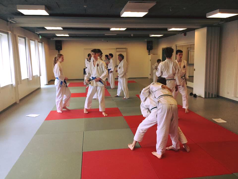 Juku Ryu Ju Jitsu - Rungsted